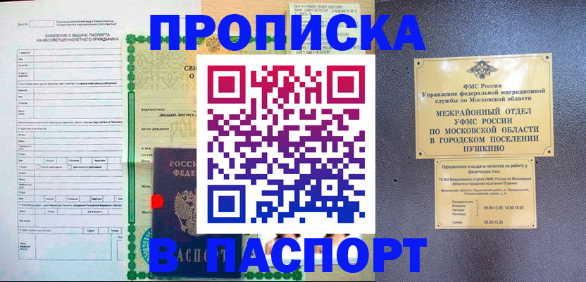 временная регистрация госуслуги в Приозерске